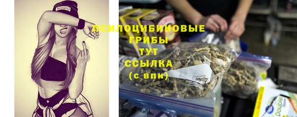 дурь Арсеньев